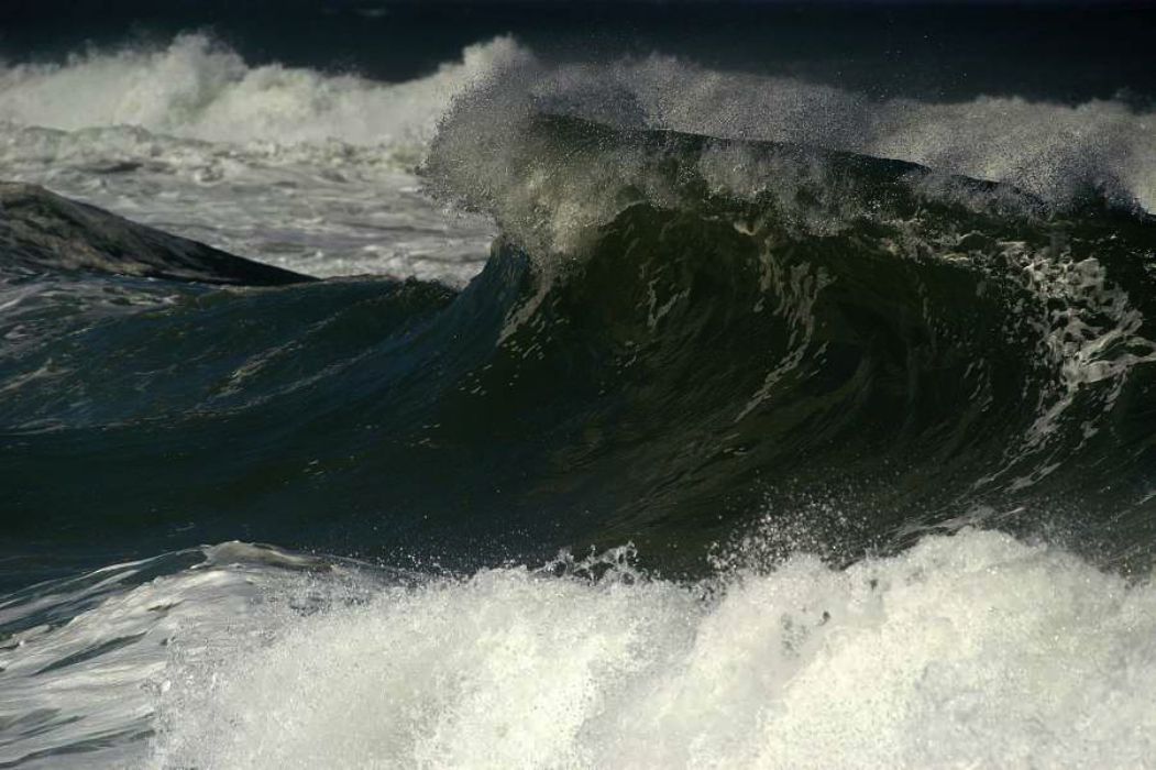 Nom de l'image : D1159919-01_(c)Norbert-JUNG — Description :